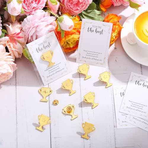 60 Sets Employee Appreciation Gifts Bulk Trophy Pins with Thank You Cards Organza Bags Inspirational Appreciation Recognition Gift for Team Staff Volunteer Student Teacher Nurse (Star)