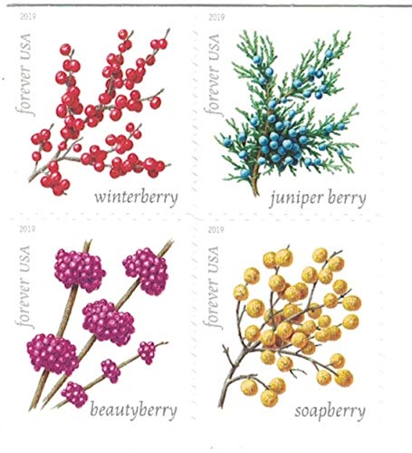 Winter Berries 20 Forever First Class US Postage Stamps - Botanical Design