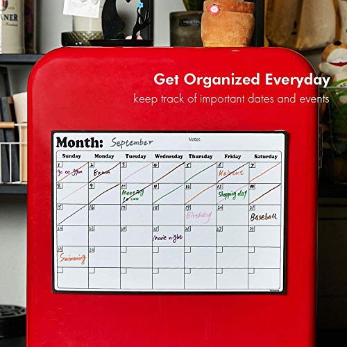 Volcanics Magnetic Fridge Calendar 16.9" x 11.8" Monthly Planner Whiteboard
