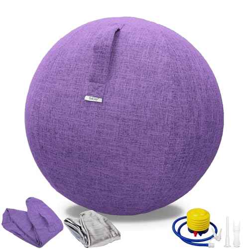 Exercise Ball Chair with Fabric Cover, Standard Size (25inches/65cm), for Home Offices, Balance Training, Yoga Ball