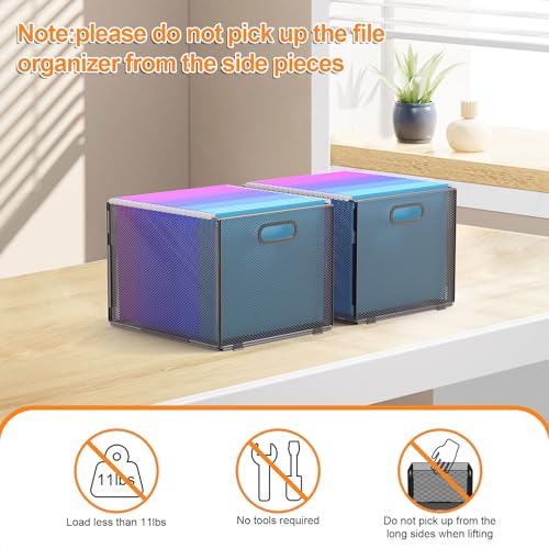 Hanging File Organizer, File Box Organizer with Handle, Metal Mesh Hanging File Folder Box, Letter Size Filing Crate Bin Holder for Home Office Desk(2 Pack)