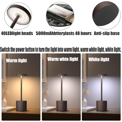 2Pack Cordless Table Lamp, Rechargeable LED Battery 5000mAh Metal USB Portable Powered Desk Lamp, 3 Levels Brightness Light for Restaurants Outdoor (2pack 10.25in ferrugino)