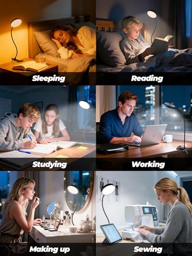 ReinHoo Black Clip-On RGB Desk Lamp with Clamp, 10 Colors & Brightness Levels