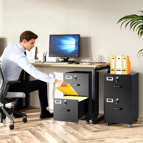 SISESOL Black 2-Drawer Mobile File Cabinet with Lock, Under Desk Office Storage