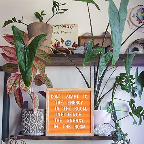 Vivid Orange Felt Letter Board 10x10 Inches with Oak Frame - Neon Style