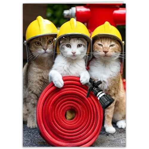 Funny Cat Birthday Card for women, men, family & friends - hilarious greeting card if you need help putting out your candles birthday cards for all