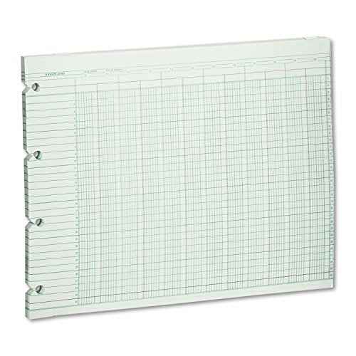 Wilson Jones G1020 Accounting Sheets, 20 Column, 9-1/4 x 11-7/8, Green (Pack of 100 Loose Sheets)