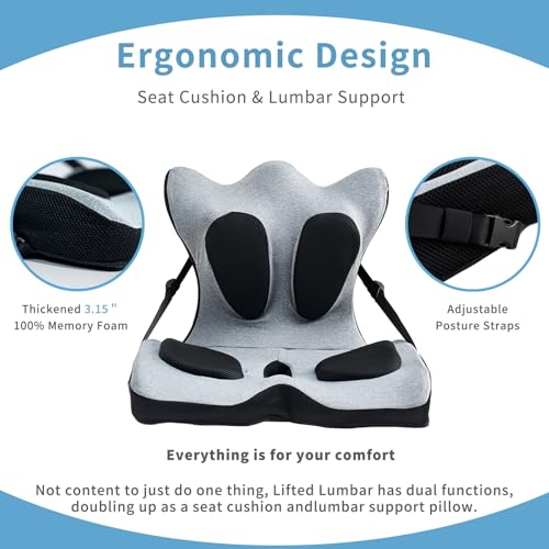Ergonomic Back and Seat Cushions, Lumbar Support with Detachable Cover, for Back Posture and Pain Relief, Home Office Chair Alien