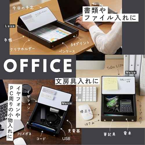 Raymei Fujii VPP1291B Desk Tray, Desktop Storage, Memory Tray, Large, Black