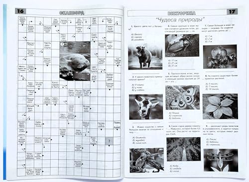 Russian Language Crossword Puzzle Magazine - Brain Teasers, Word Search, Logic Games, 68 Pages