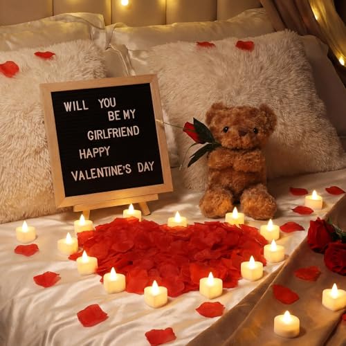 Ceenna Will You Be My Girlfriend Letter Board Sign Set with Bear & Red Variations