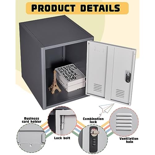 20" H Metal Locker Storage Cabinet, Lockable Cabinet, Small Lockerfor Employees, Lockable 1 Door with 2 Hooks Organizer for Bedroom, School, Office, Playroom, Daycare, Garage