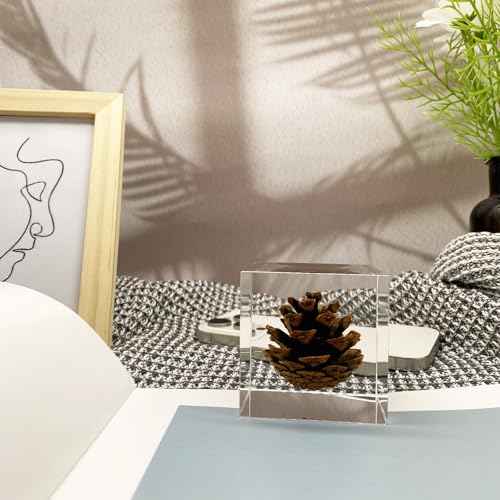 Acrylic Cube Paperweight with Decorative 3D Preserved Flowers, 2.36'' Cube 12 oz, Brown Pine Cone, Aesthetic Desk Shelf Decor and Good Luck Gift for Her