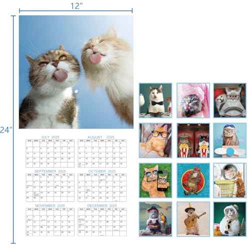 2026 Wall Calendar - 2026 Calendar, Funny Cat Calendar 2026, Jan. 2026 - Dec. 2026, Wall Calendar Gag Gift, Funny Cat Memes Pics, 12'' x 24'' (Open), Unruled Block, Hanging Hole, Holidays