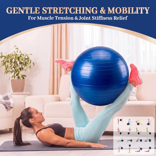 Jerify 3-Piece Pilates Yoga Ball Chair Set 26 inch with Stability Base for Home Office