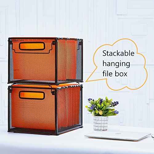 SETTFRFE 2 Pack File Organizer,Metal File Crates for Hanging Folders,Hanging Folder Organizer,Letter Size, Black