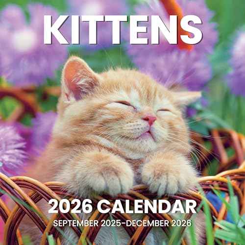 SUNEE Wall Calendar 2026, Kittens Calendar From September 2025 to December 2026, 12"x24" Opened, Cute Cat Theme Large Calendar 12"x12" for Organizing & Planning
