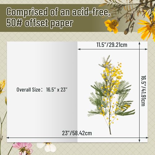 Lineco Acid-Free Herbarium Specimen Newsprint Paper, Pack of 25