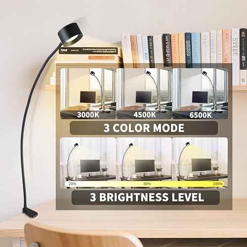 Portable and Rechargeable LED Desk Lamp,Versatile Lighting Solution for Office, Study, and Outdoor Activities
