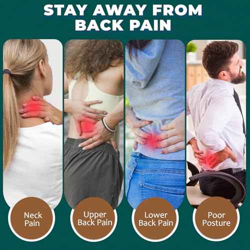 QUTOOL Lumbar Support Pillow with DIY Gift Box - Birthdays Gifts for Women Men, Ergonomic Back Support with Breathable 3D Mesh Cover, Suited for Office Chairs, Gaming Chairs£¬Car, Home Use (Black)