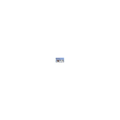 BOX USA Small Shipping Boxes 6"L x 6"W x 1.25"H, 50-Pack | Cardboard Box Crush-Proof Carton for Mailing, Storing, Package, Gifts, Crafts, Business or Home, White