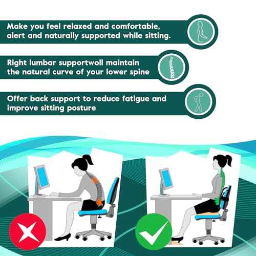 Samyoung 2 Pack Mesh Back Lumbar Support, Back Support Seat Cushion with Breathable Mesh for Office Chairs Car 12¡± x 16¡±