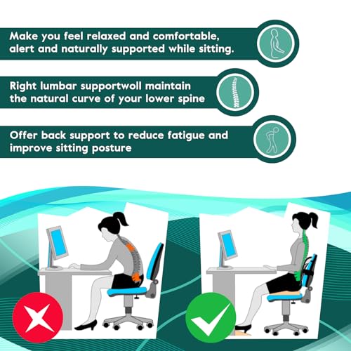 Samyoung Black Mesh Lumbar Support for Office Chair & Car Seat