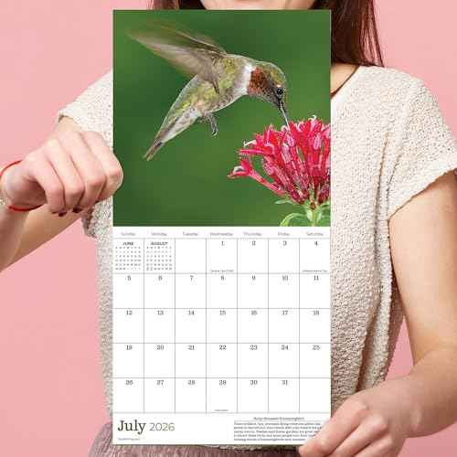 TF Publishing 2026 Backyard Birds Mini Calendar with Monthly Grids for Appointments and Scheduling - Vertical Small Wall Calendar 2026 with Premium Gloss Paper for Home and Office Organization - 7x7in