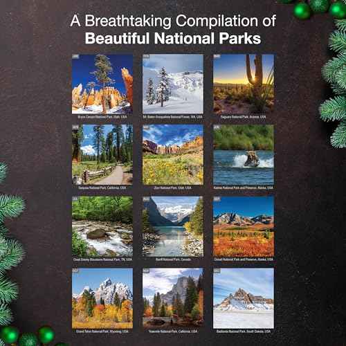 MICASA Wild & Beautiful National Parks 2026 Wall Calendar 12 Month | 12" x 24" Open | Thick & Sturdy Paper | Giftable | Calendar 2026