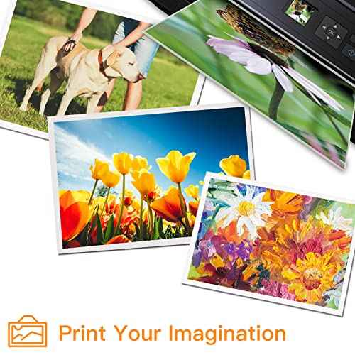 Run Star 7 Pack T048 Remanufactured Ink Cartridge Replacement for Epson 48 T048 use for Epson Stylus Photo R200 R220 R300 R300M R320 R340 RX500 RX600 RX620 Printer (2BK/C/M/Y/LC/LM)
