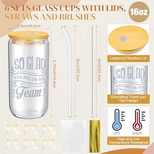 Skylety 18 Pcs Employee Appreciation Gift for Women Christmas Thank You Gifts Bulk for Coworker Team Staff Nurse Teacher 16 oz Glass Cup A6 Inspirational Notebook with Ballpoint Pen Bowknot(Team)