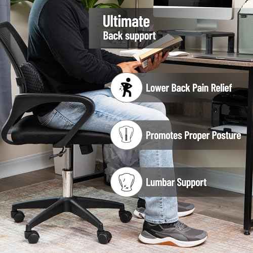 Mind Reader Lumbar Support Pillow with Air-Cloud Technology, Memory Foam Cushion for Back, Waist & Hip Pain Relief, Breathable Cover, Black