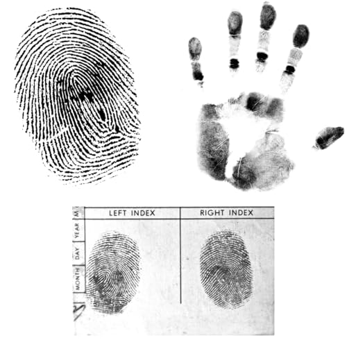 Large Rectangle Fingerprint Ink Pad Ultra-Black Quick-Dry for Notary & Law Enforcement – Single