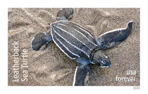 Protect Sea Turtles 2024 Commemorative Stamp Sheet of 18 - US Postal Service