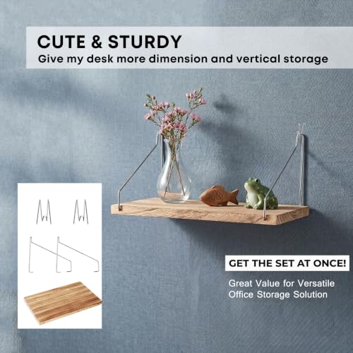 Onsogi 1 Pack Fabric Wall Cubicle Shelf with Hooks – Office Organizer & Storage for Work Decor