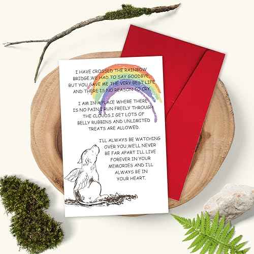 Sympathy Card for Loss of Pet Dog, Pet Loss Cards,Rainbow Bridge Condolence Card, Bereavement Card for Dog Owner, Doggy Bereavement Cards for Family Friends Husband Wife