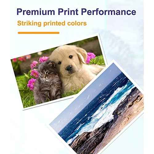 OGOUGUAN Replacement SJIC22P Ink Cartridge Kit for TM-C3500 ColorWorks C3500 Printer (4 Pack)