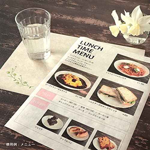 Japanese Rice Paper Printable 8.5 x 11 Inch Letter Size Paper (100 Sheets), Multipurpose Copy Paper for Laser and Inkjet Printers, Made in JAPAN, White