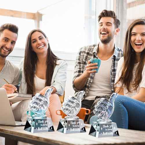 3 Pcs Employee Appreciation Gifts Crystal Awards with Thumbs up Business Gifts Thank You for Being Awesome Trophies for Coworkers Employee Teacher Women Men Office Colleague Christams