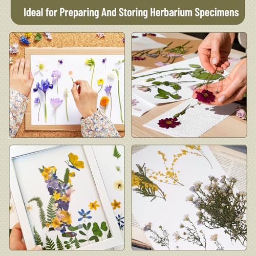 Lineco Acid-Free Herbarium Specimen Newsprint Paper, Pack of 25