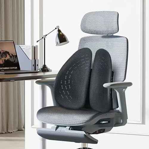 Ergonomic Lumbar Support with Breathable Mesh, Lower Back Pain Relief Upgraded Version