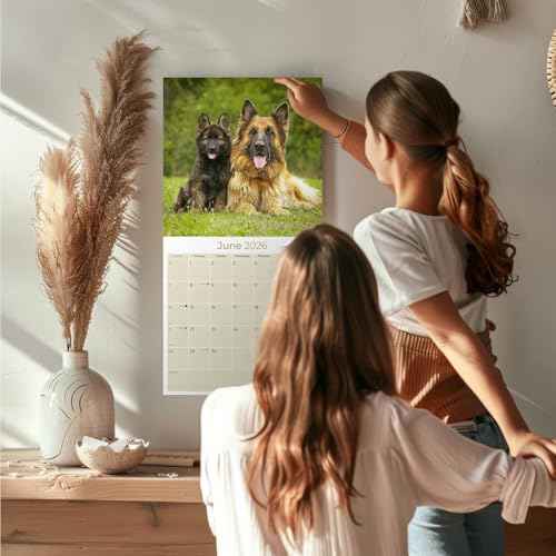 2025 2026 German Shepherd Calendar - Dog Breed Monthly Wall Calendar - 12" x 24" Open - Thick No-Bleed Paper - Giftable - Academic Teacher's Planner Calendar Organizing & Planning - Made in USA