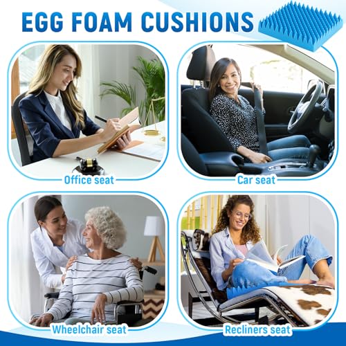 Geiserailie 2 Pcs Egg Foam Pad Egg Chair Cushion to Relieve Back Foam Seat Cushion Chair Accessories Pad for Office Recliner Wheelchair Home Car (Blue)