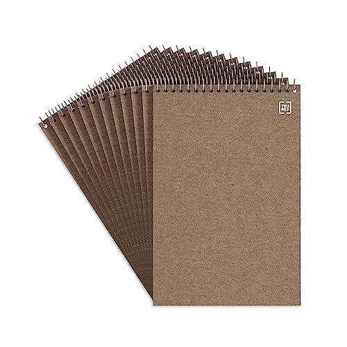 STAPLES TRU RED Steno Notepads, 6 x 9 Inch, Gregg Ruled, Top Wire-Bound Notebooks, Cardstock Cover, 80-Sheets, 12-Pack, White Paper