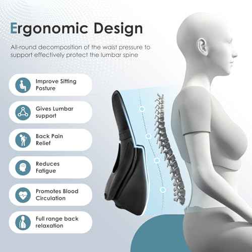 FLORICH Double Layer Breathable Mesh Lumbar Support Ergonomic Leather Lumbar Support Pillow with 3D Mesh Back Support and Adjustable Strap for CarSeat & Office Chair