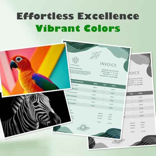 260XL Ink Cartridge Combo Pack Compatible for Canon PG-260 Black Ink Cartridge 260XL High Yield for Canon Pixma TS6420a TS6420 TS6400 TR7020 TR7020a TTR7022 TR7022a TS5300 TS5320 Printer (2 Black)