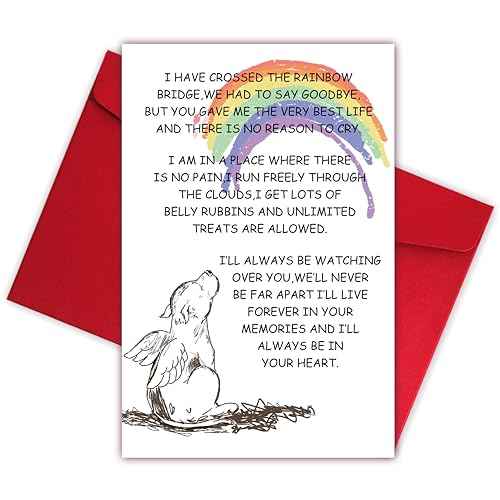 Sympathy Card for Loss of Pet Dog, Pet Loss Cards,Rainbow Bridge Condolence Card, Bereavement Card for Dog Owner, Doggy Bereavement Cards for Family Friends Husband Wife