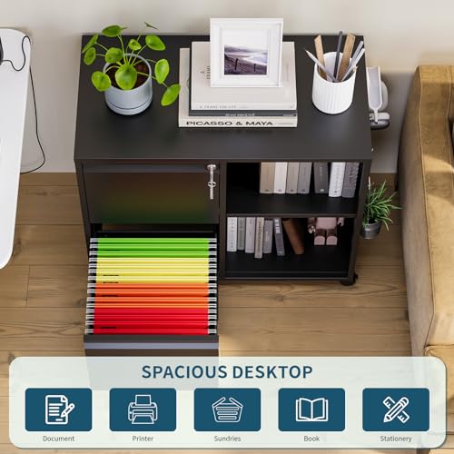 MIIIKO Metal 2-Drawer Lockable File Cabinet with Locking Drawers and Mobile Casters