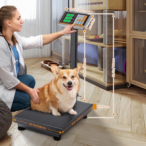Bonvoisin Digital Heavy Duty Floor Scale 660LBs with Switchable KG/LB & Price Computing