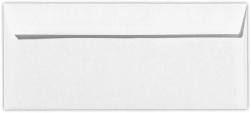 LUXPaper #10 Business Double Window Envelopes | Security Tint | 4 1/8" x 9 1/2" | White | 24lb. Text | 500 Qty